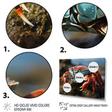 Crab Coastal Scavenger - Crab Home Decor Art