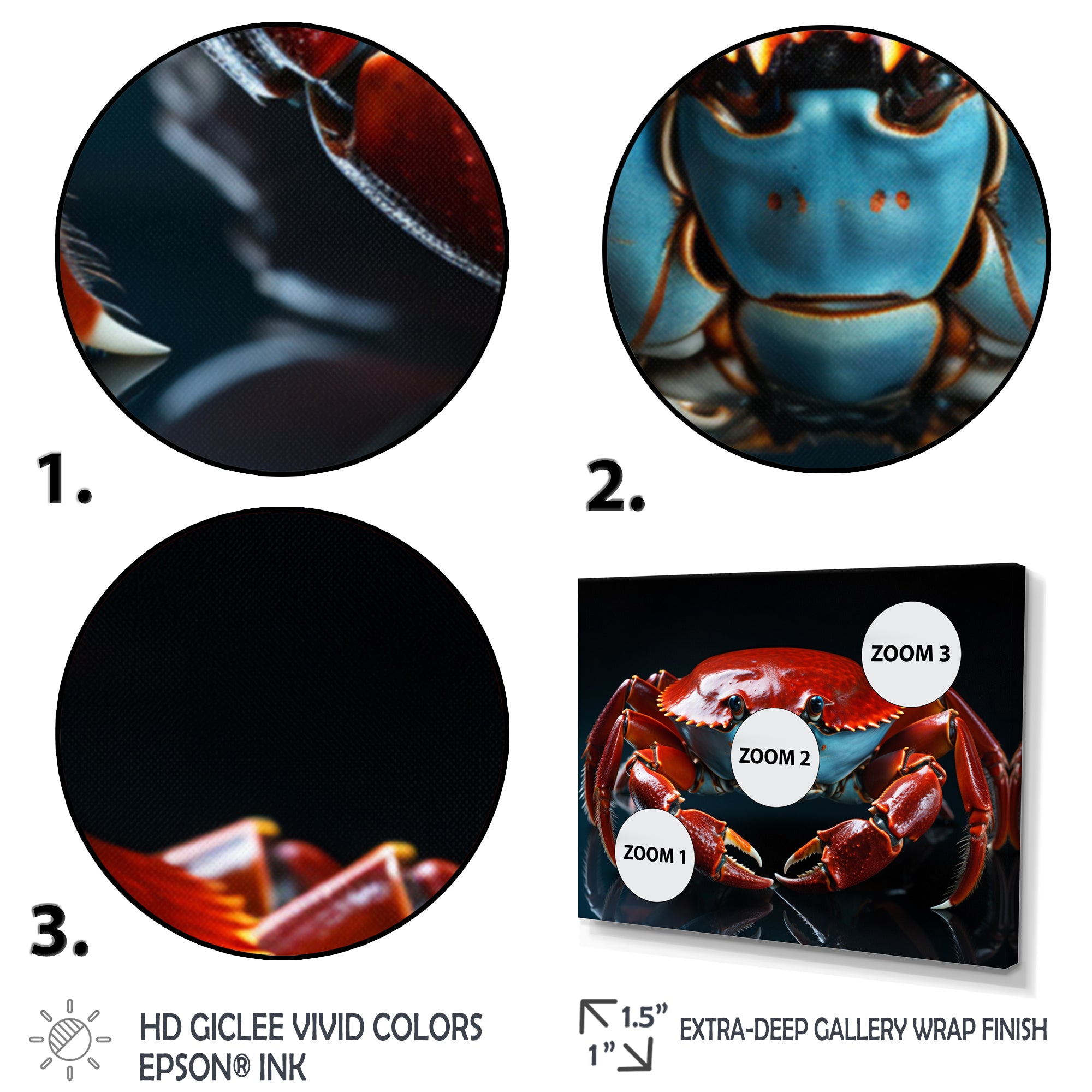 Crab Portrait - Crab Canvas Wall Art