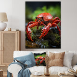 Crayfish Creek Dweller - Crayfish Wall Art Prints