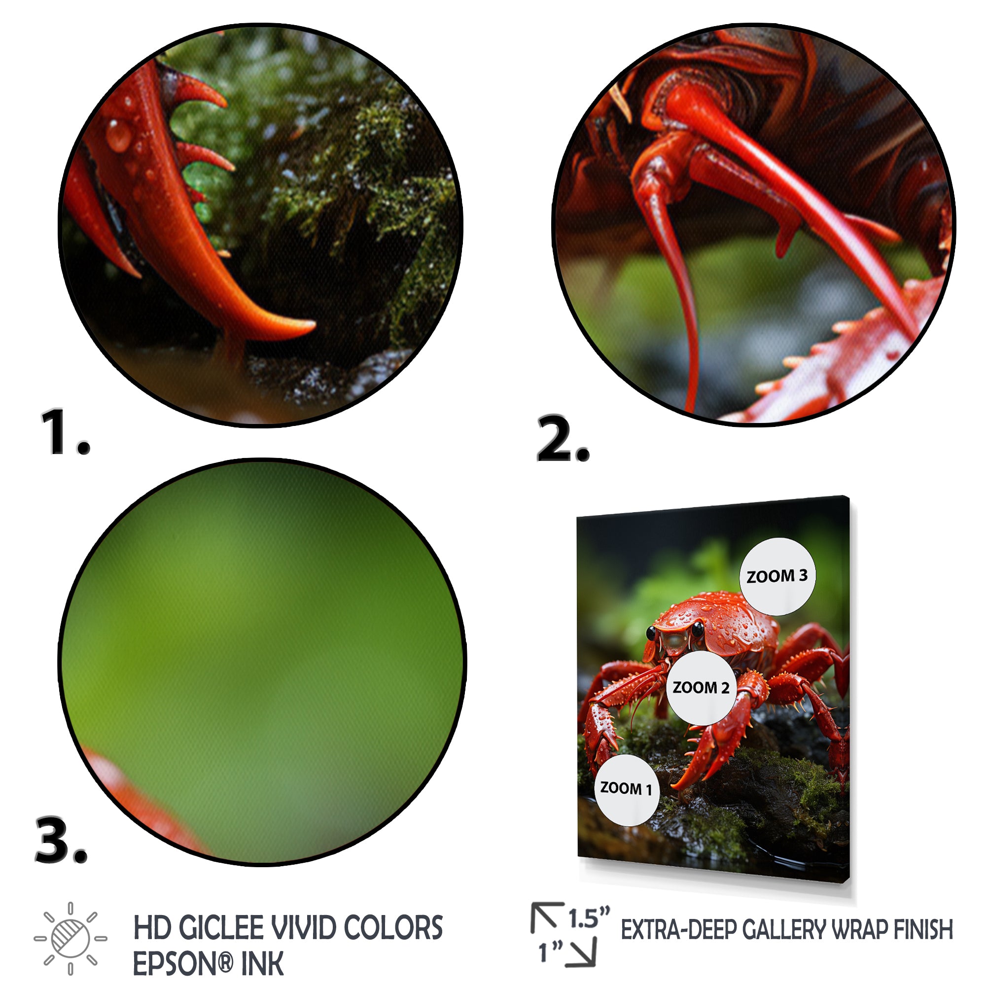 Crayfish Creek Dweller - Crayfish Wall Art Prints