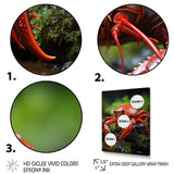 Crayfish Creek Dweller - Crayfish Wall Art Prints