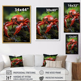 Crayfish Creek Dweller - Crayfish Wall Art Prints