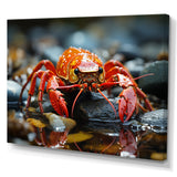 Crayfish River Jewels - Crayfish Large Canvas Wall Art