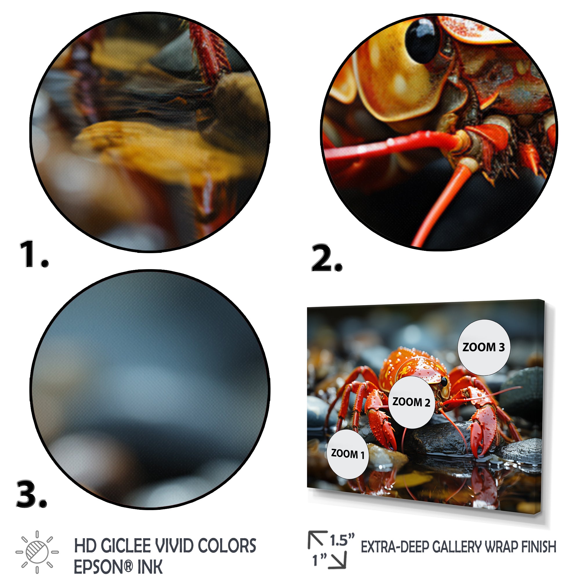 Crayfish River Jewels - Crayfish Large Canvas Wall Art