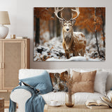 Deer Graceful Deer - Deer Wall Art Prints