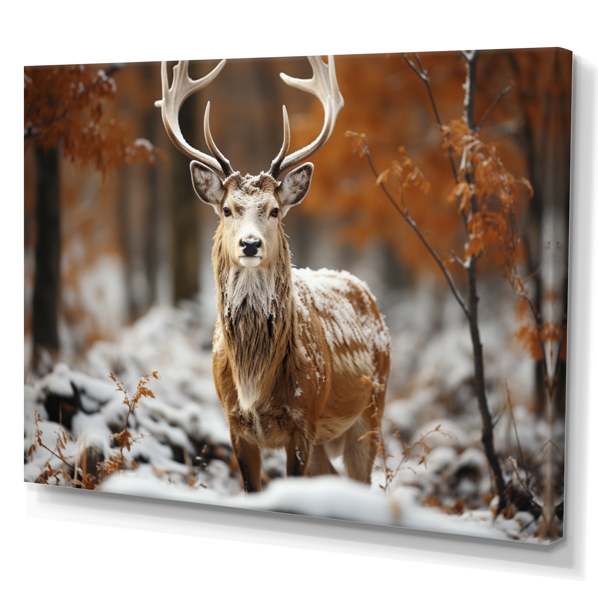 Deer Graceful Deer - Deer Wall Art Prints