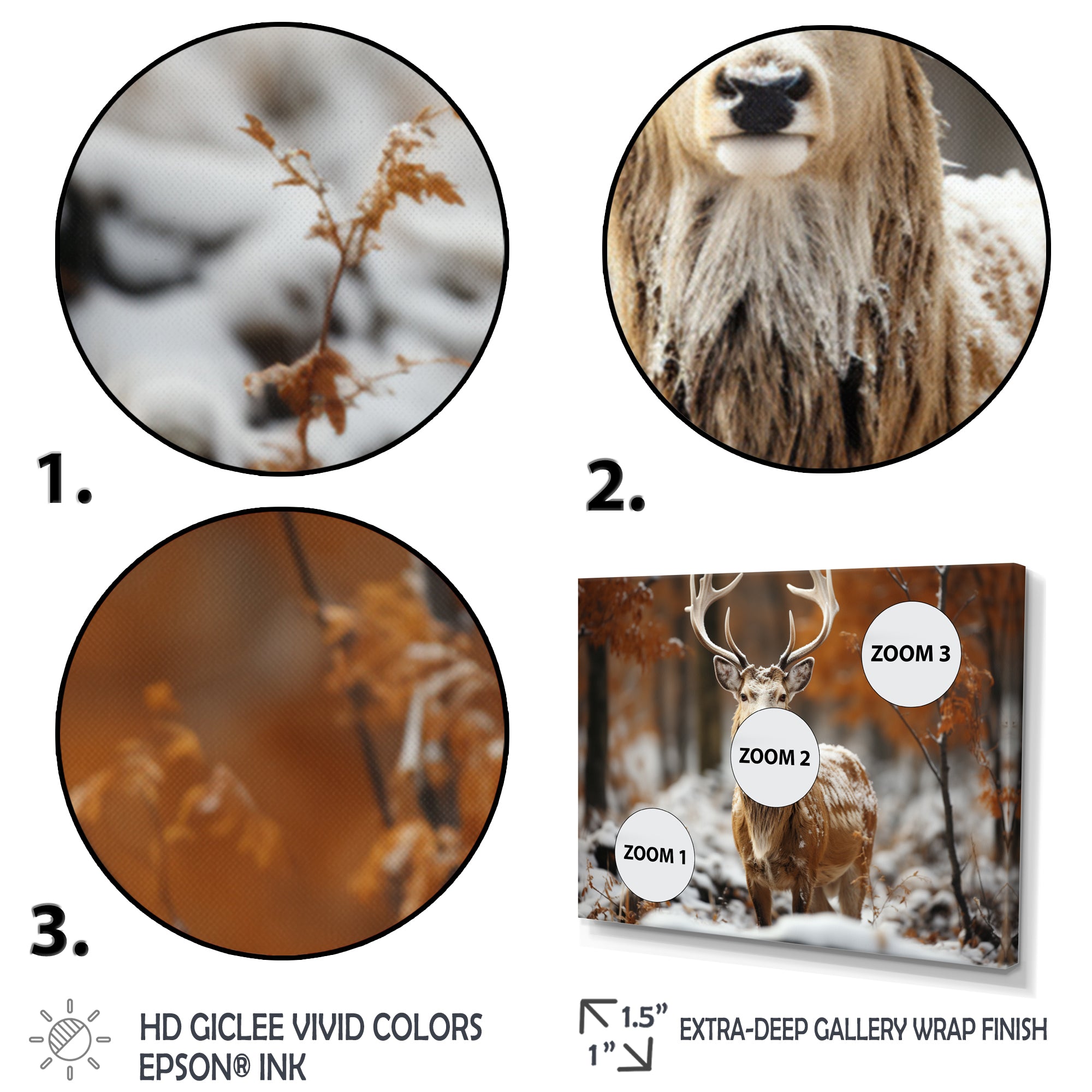 Deer Graceful Deer - Deer Wall Art Prints