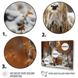 Deer Graceful Deer - Deer Wall Art Prints