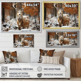 Deer Graceful Deer - Deer Wall Art Prints