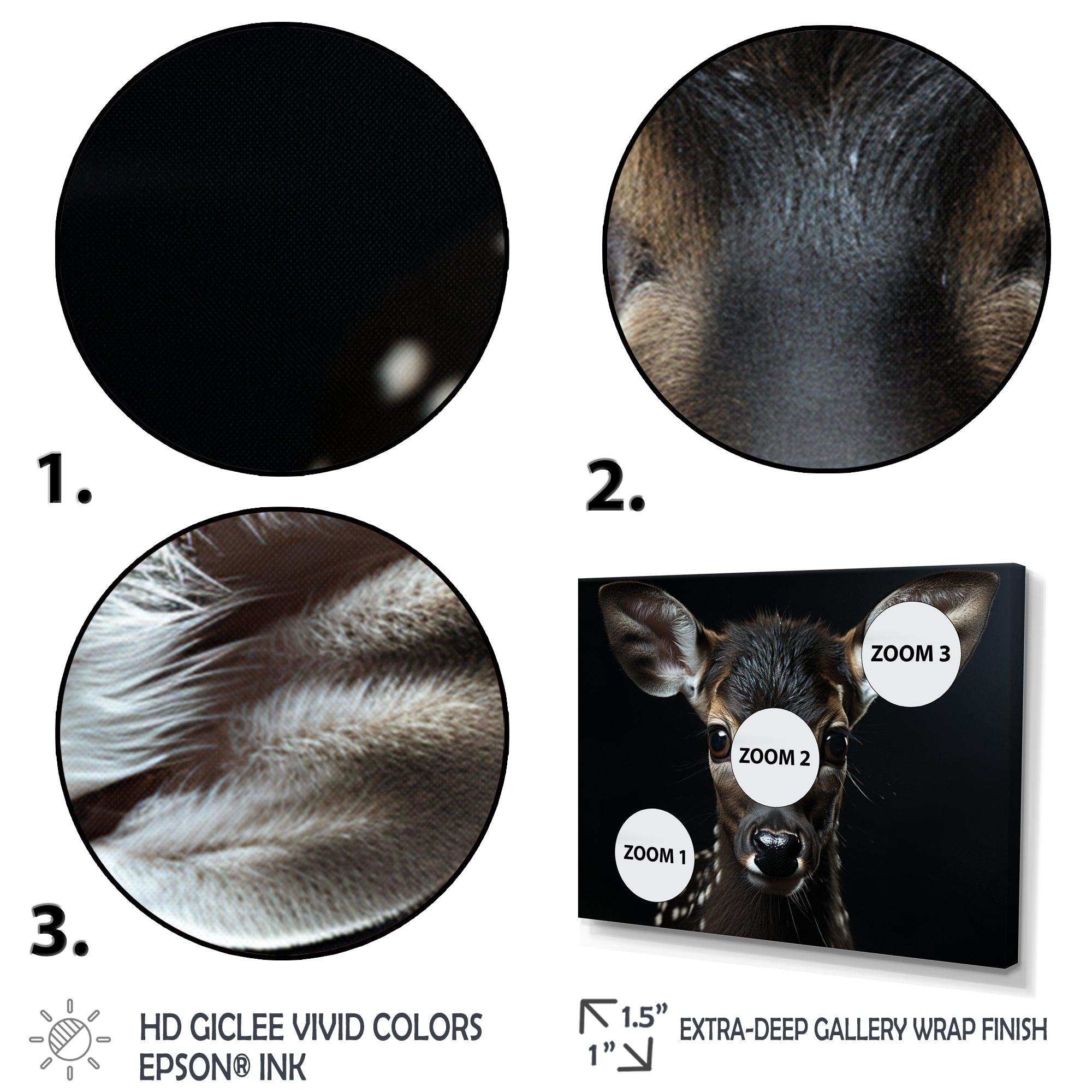 Black And White Deer Portrait - Animals Canvas Wall Art