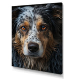 Dog Animal - Dog Living Room Wall Art