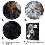 Dog Animal - Dog Living Room Wall Art