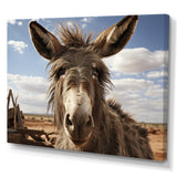 Grey Donkey Portrait - Donkey Canvas Wall Art