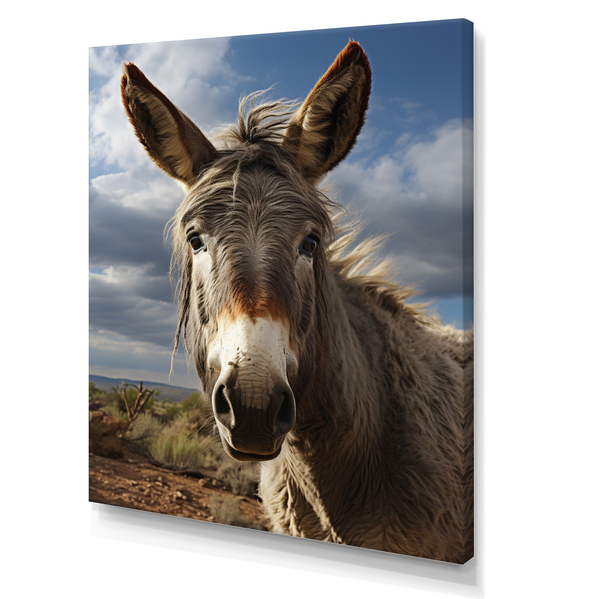 Grey Donkey Portrait Vibrant - Donkey Canvas Wall Art