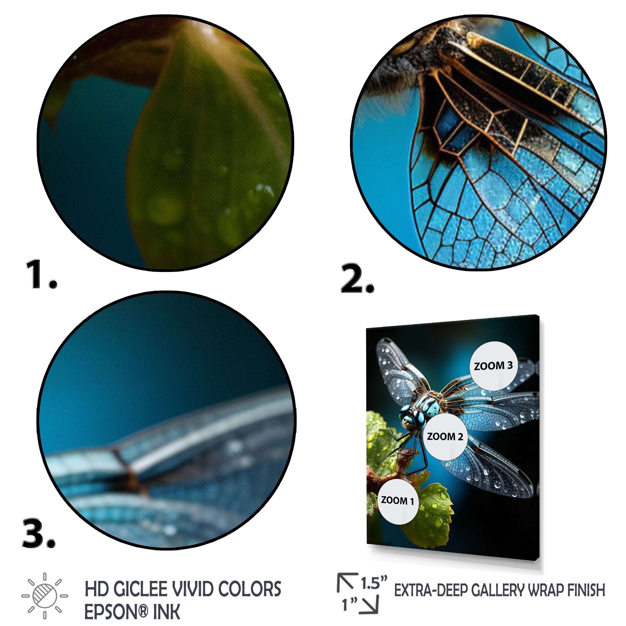 Teal Dragonfly Insects Flight - Dragonfly Wall Decor