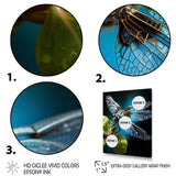 Teal Dragonfly Insects Flight - Dragonfly Wall Decor