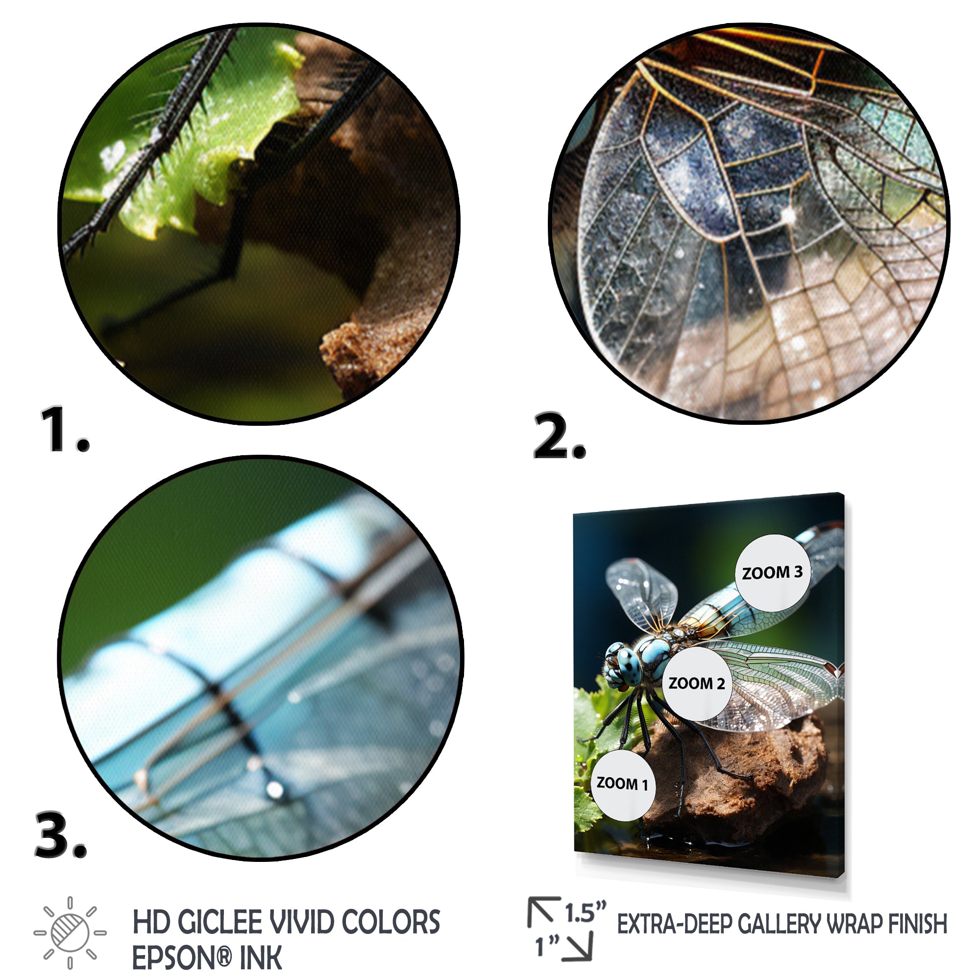 White Dragonfly Insects Flight - Dragonfly Wall Art Prints