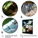 White Dragonfly Insects Flight - Dragonfly Wall Art Prints