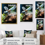 White Dragonfly Insects Flight - Dragonfly Wall Art Prints