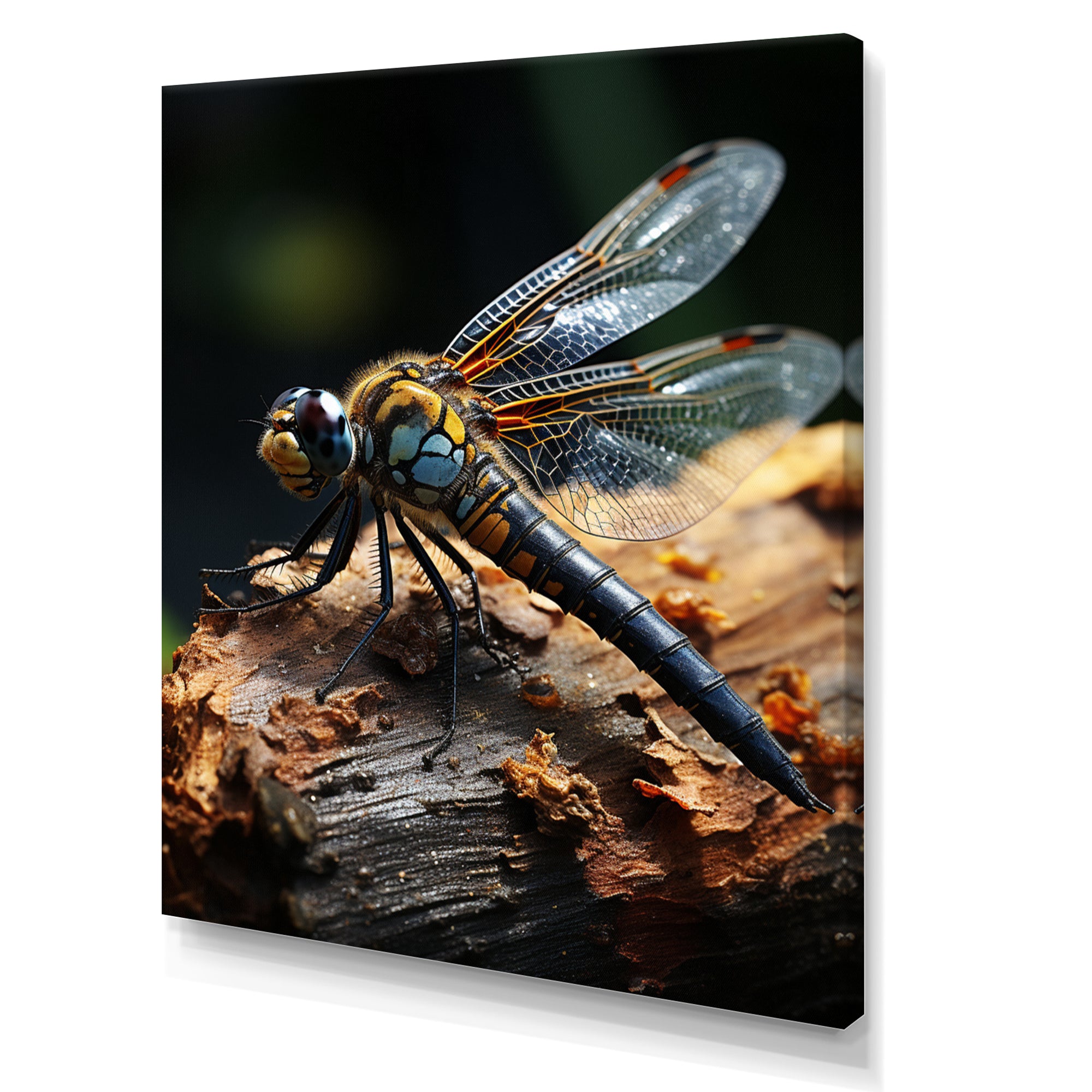 Brown Dragonfly Portrait Vibrant - Dragonfly Home Decor Art