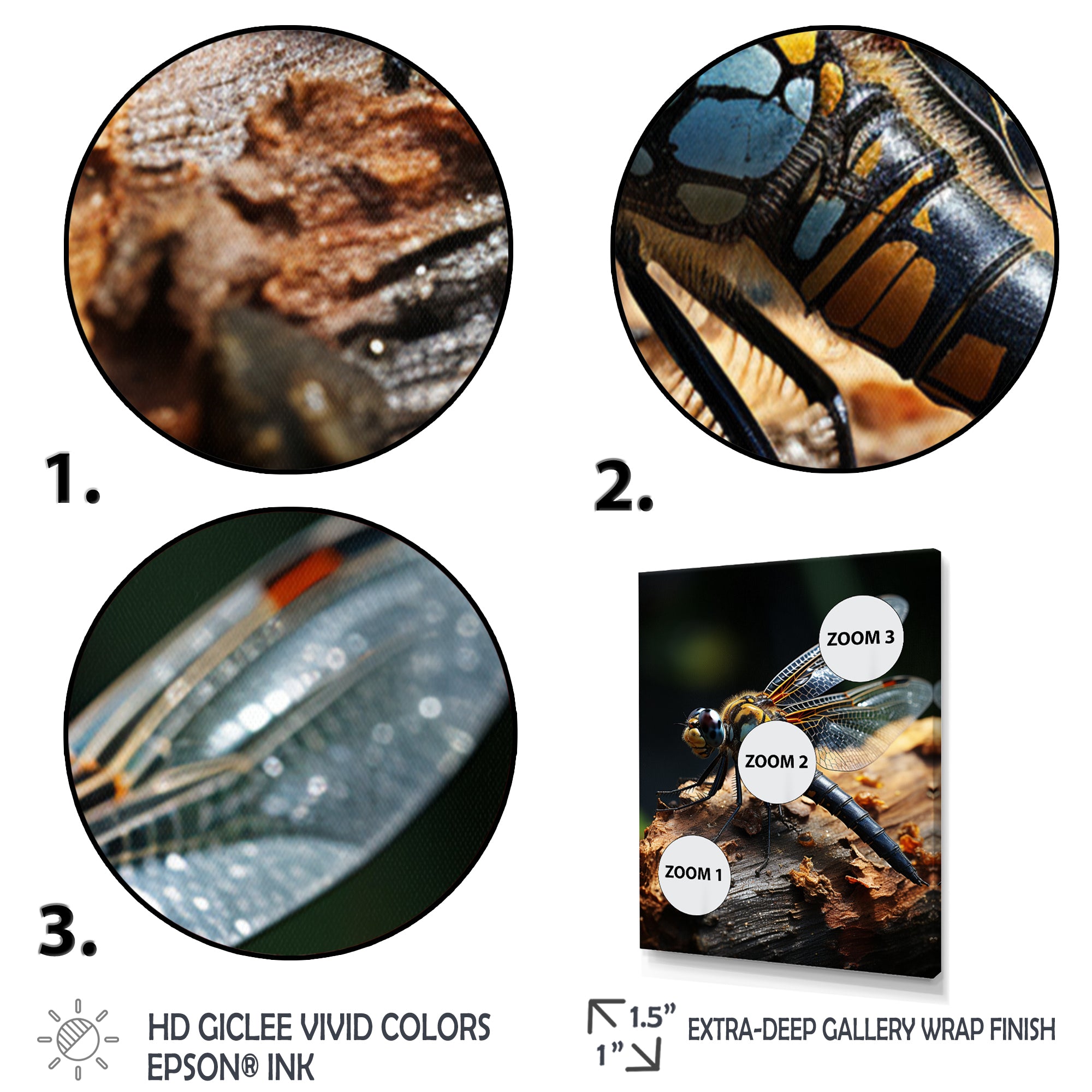 Brown Dragonfly Portrait Vibrant - Dragonfly Home Decor Art