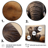 Elephant Guardianship - Elephant Wall Art Prints