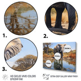 Elephant Reflection - Elephant Framed Canvas Art