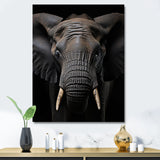 Elephant Portrait In Black And White - Elephant Wall Art Prints