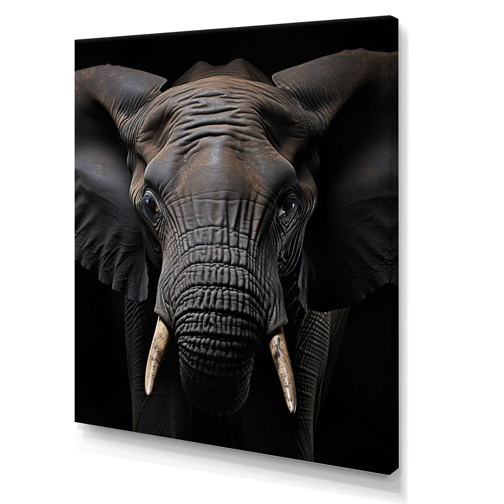 Elephant Portrait In Black And White - Elephant Wall Art Prints