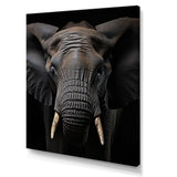 Elephant Portrait In Black And White - Elephant Wall Art Prints