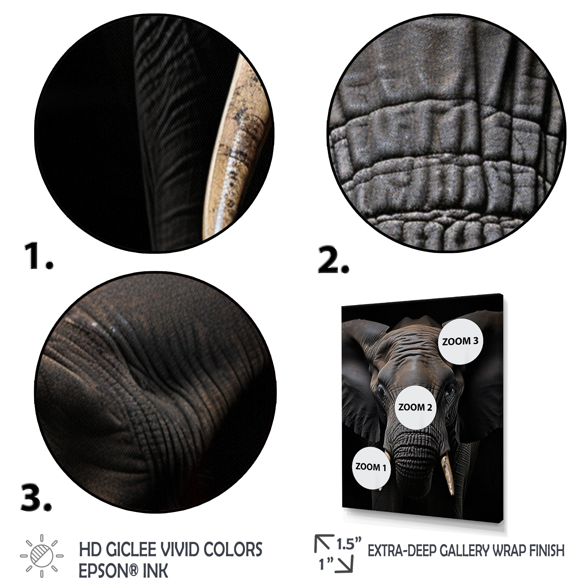 Elephant Portrait In Black And White - Elephant Wall Art Prints