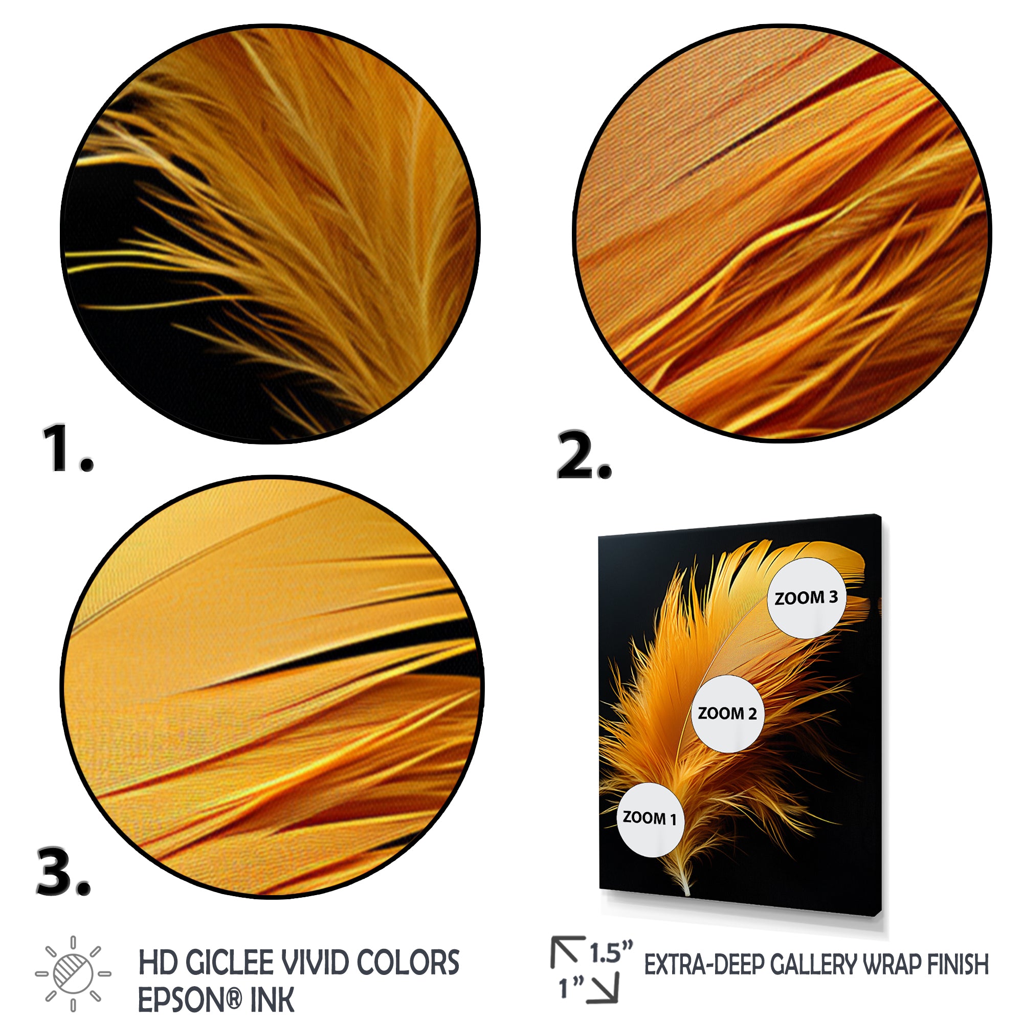 Orange Feather Elegance - Feathers Wall Decor