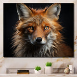 Fox Portrait Photo - Fox Wall Art Prints