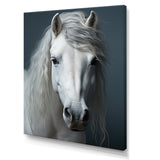 White Horse Crisp Monochrome - Horse Bedroom Wall Art