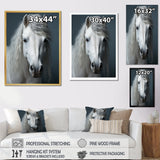 White Horse Crisp Monochrome - Horse Bedroom Wall Art
