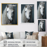 White Horse Crisp Monochrome - Horse Bedroom Wall Art