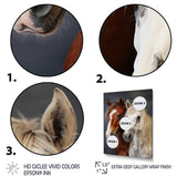 Horse Dynamic Duo - Horse Wall Decor