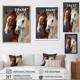 Horse Dynamic Duo - Horse Wall Decor