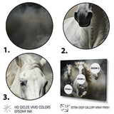 White Beige Horse Equine Harmony - Horse Wall Decor