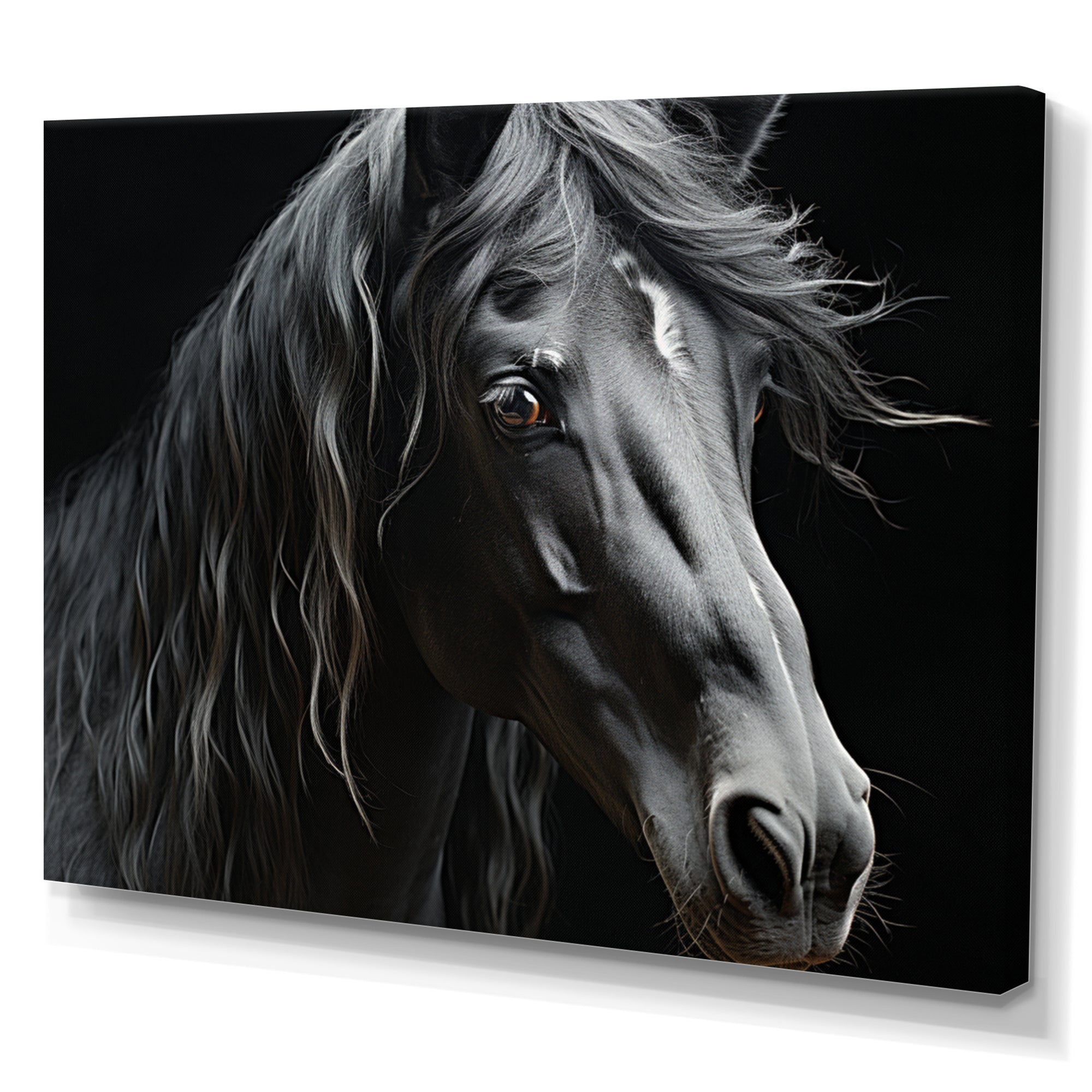Black White Horse Portrait - Horse Canvas Wall Art