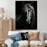 Black White Horse Portrait Vibrant - Horse Wall Decor