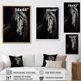 Black White Horse Portrait Vibrant - Horse Wall Decor