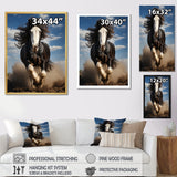 Black White Horse Stallions Strength - Horse Home Decor Art