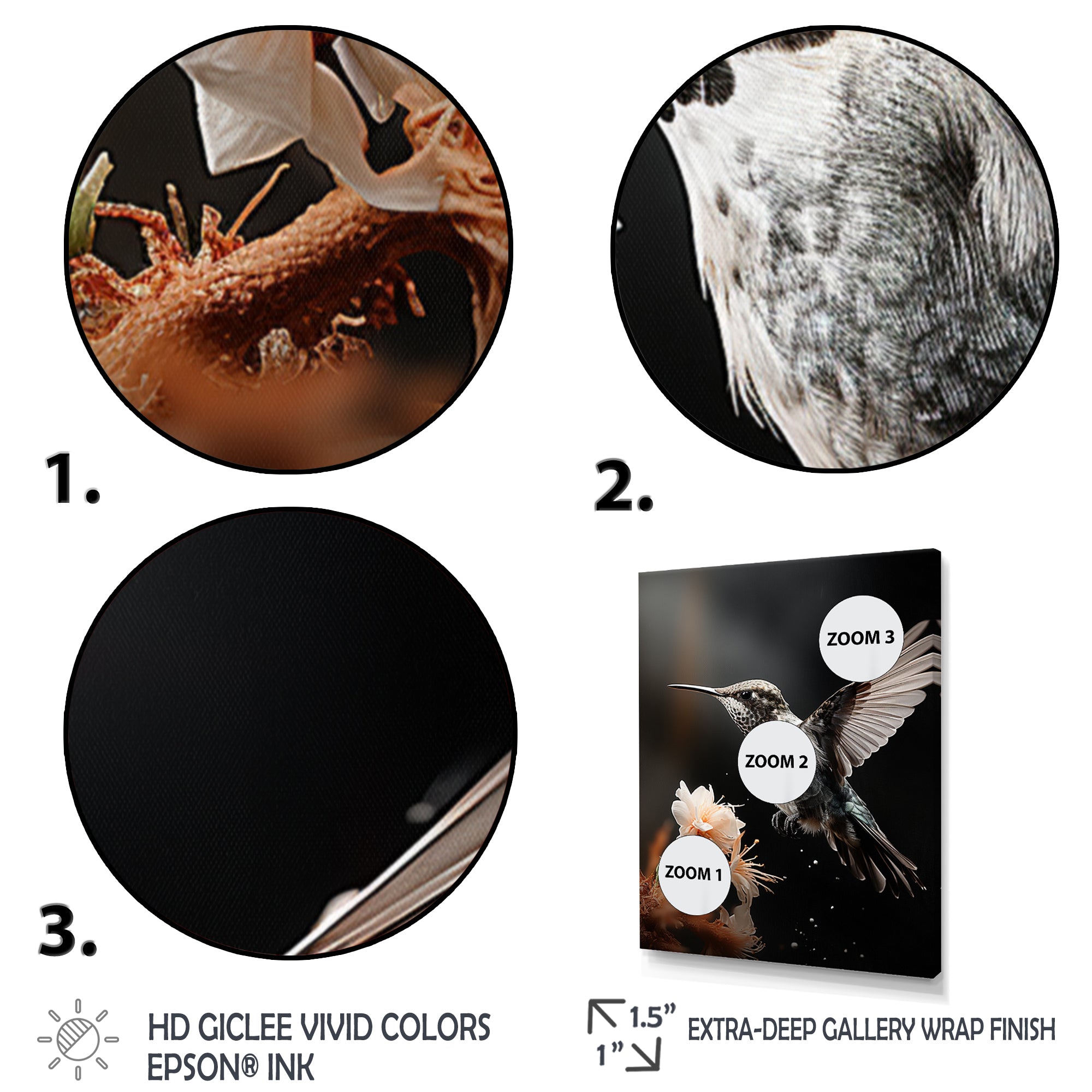 Black White Hummingbird Energetic - Hummingbird Wall Decor