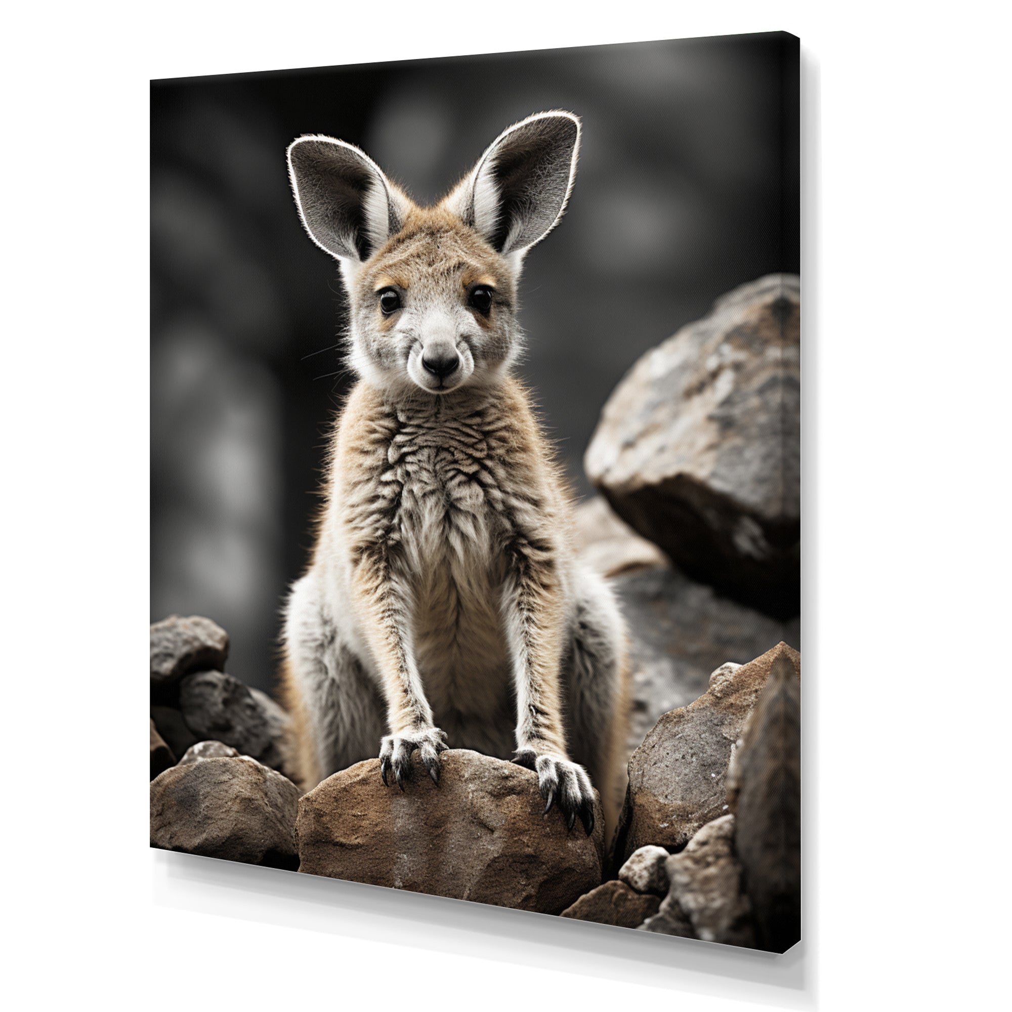 Kangaroo Bound - Kangaroo Home Decor Art