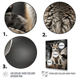 Kangaroo Bound - Kangaroo Home Decor Art