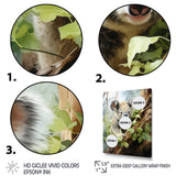 Koala Funny - Koala Wall Decor