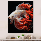 Coral Kois Fish Bold Contrasts - Koi's Fish Large Canvas Wall Art