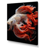 Coral Kois Fish Bold Contrasts - Koi's Fish Large Canvas Wall Art