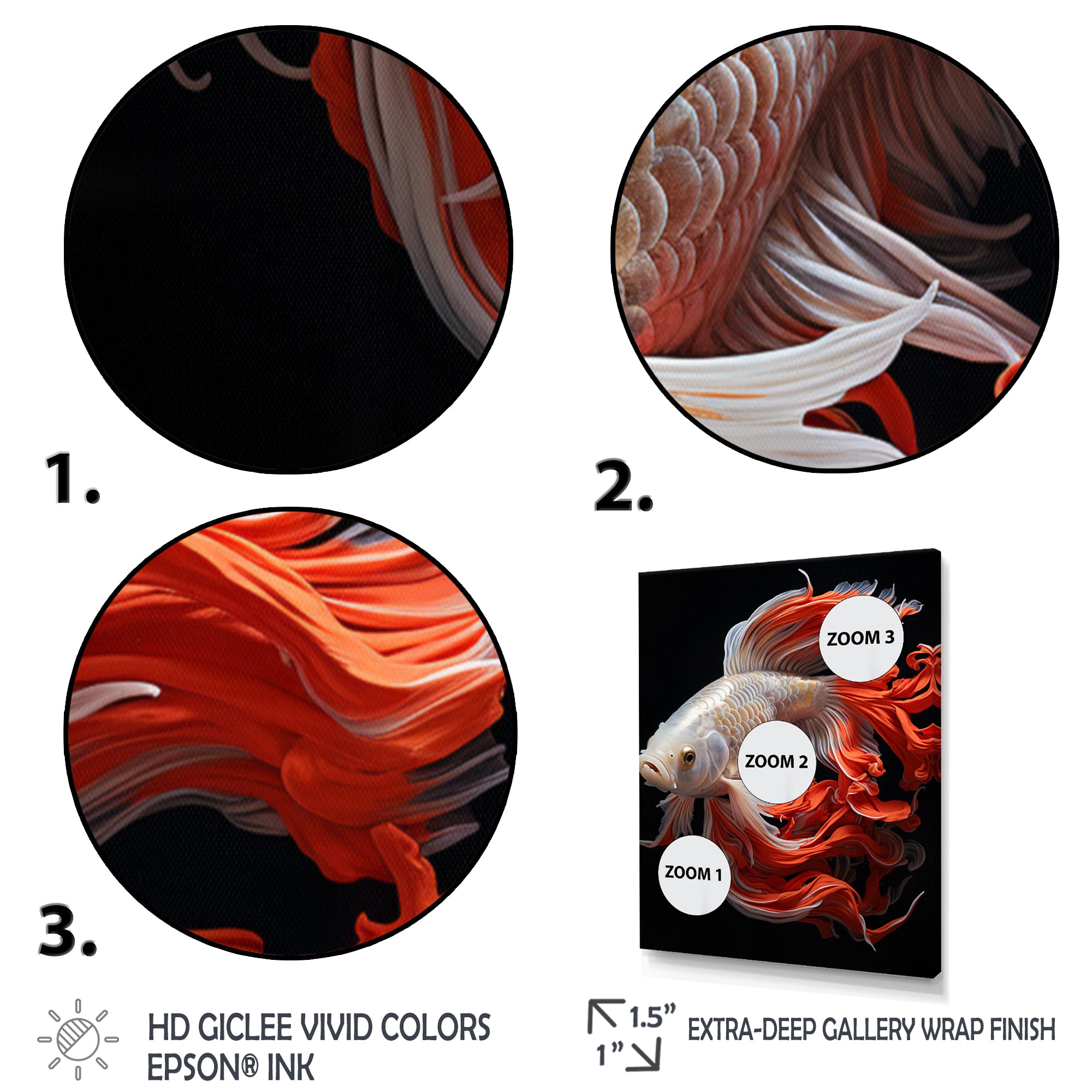 Coral Kois Fish Bold Contrasts - Koi's Fish Large Canvas Wall Art